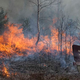 Image for article titled Department Of Interior Sets Aside 50,000 Acres As National Wildfire Refuge